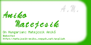 aniko matejcsik business card