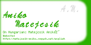 aniko matejcsik business card